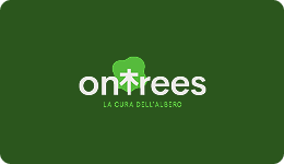 OnTrees website